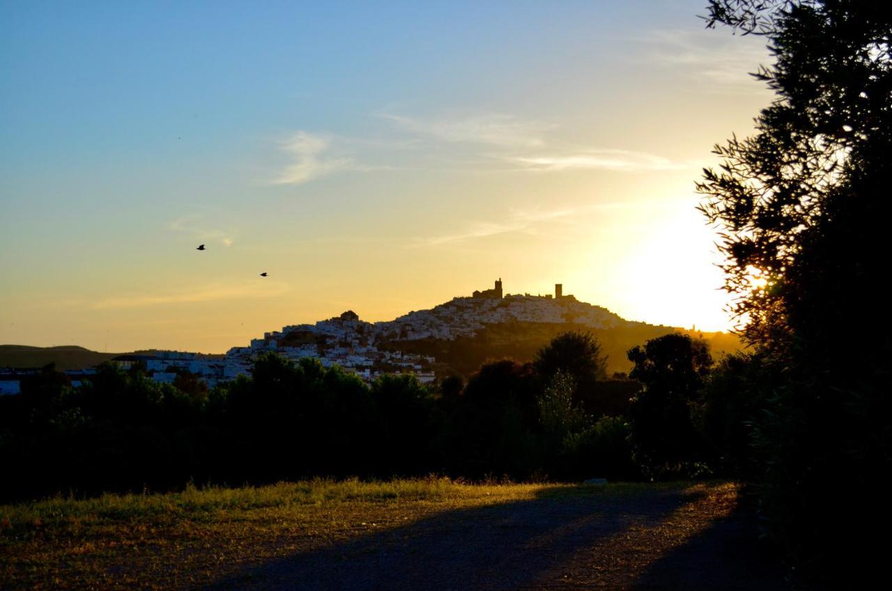 Cortijo Mesa De La Plata *