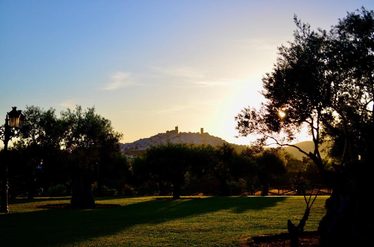 Cortijo Mesa De La Plata *