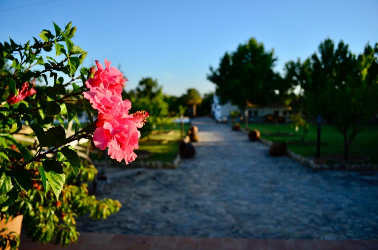 Cortijo Mesa De La Plata Casa de Campo